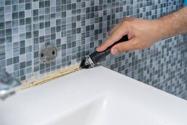 Best Post-Flood Mold Remediation in Fort Sumner, NM